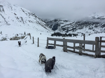BadGastein 09 2015 12