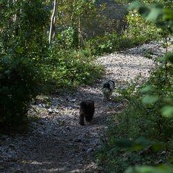 Wandern